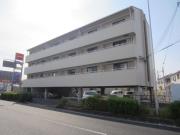 ジェンティールTATEISHI2