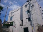 Domus Style