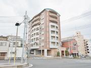 サンシャインII