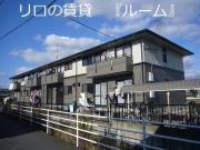 ハイカムールデビュー