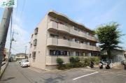 プロムナード洲崎 1号館