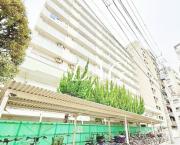 ＪＲ山手線鶯谷駅まで徒歩5分