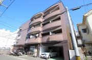 BAUHAUS楠木