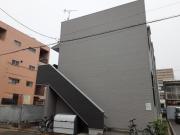 カメリア