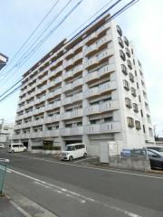 エクセル富士見