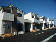 トレステーラシン6