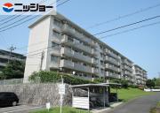西一社団地12棟 505号
