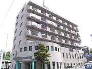アイビークロス