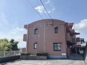 シャンテ・M