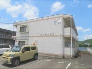 ユーミー青野