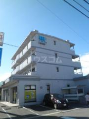 サンピセス
