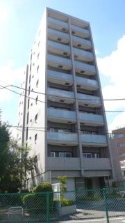 RobustCourt