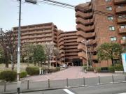 朝日プラザ柏木