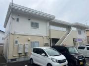 ダンデライオン