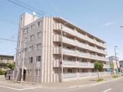 サンハイツ丸果 SUNHIGHTS