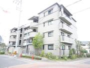 アムールツジタ