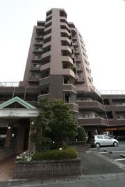 ホワイトステージ城西