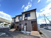 エヴァーグリーン