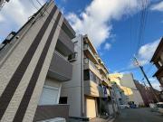 A・山法師