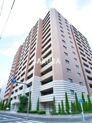アデニウム新横浜