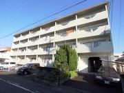 岐阜県岐阜市栄新町２丁目