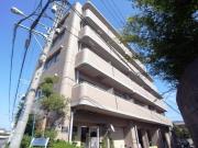 CORRECT FORET住道