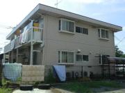 WHITETERRACE