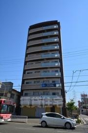 クリスタルクォーツ楠葉朝日