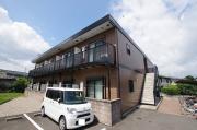 アンプルールフラーリッシュ