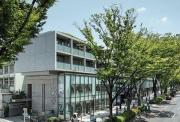 表参道ヒルズゼルコバテラス