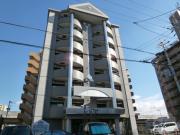 ラベンダーステージ30