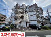 Kコート観月