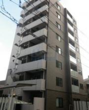 DIPS小竹向原