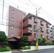 西武新宿線上石神井駅まで徒歩7分
