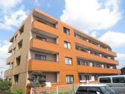 エクセル市川