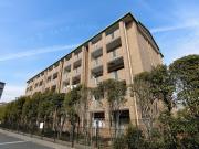 AMUKASU