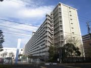 市川パークハイツC棟