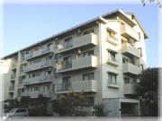 津々山台第二住宅 6棟