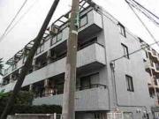 豪徳寺アムフラット