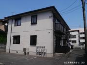 シーゲルカーサ 