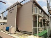 ブライトン24