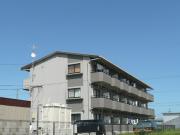 マンションLIVE
