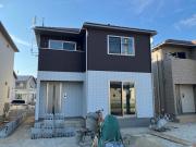 フリースカイ・モモ