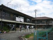 森川文化