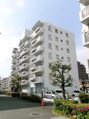 市営井高野住宅7号館