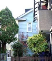 深大寺東町8丁目貸家