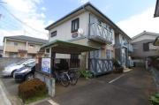 Shamaison カモミール