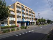 CASAアモールII