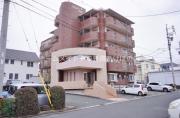 プランドールFIVE