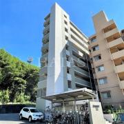 Sun State東海